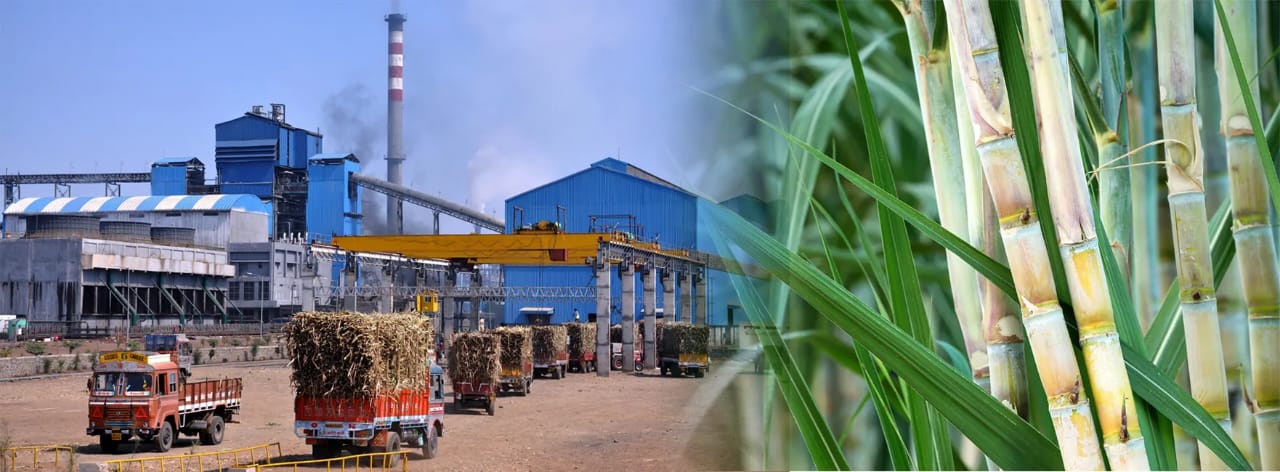 Sugar Mill Industrial Application